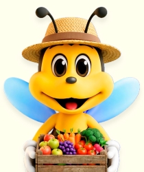 Como conservar frutas e legumes por mais tempo