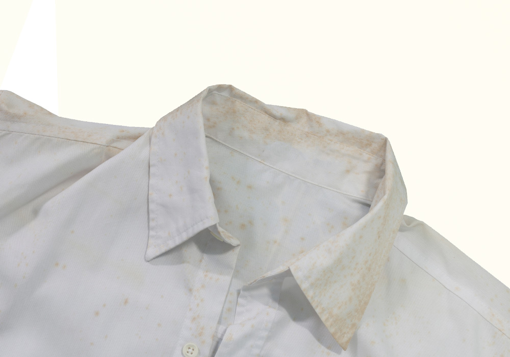 Dicas infalíveis para remover e prevenir mofo nas roupas durante o ano todo!